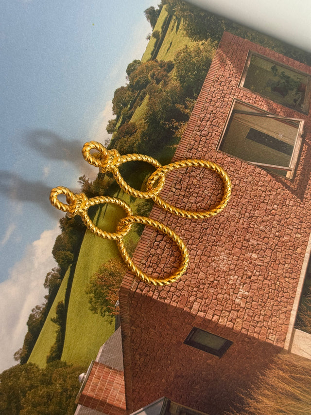 Twist & Tease Earrings